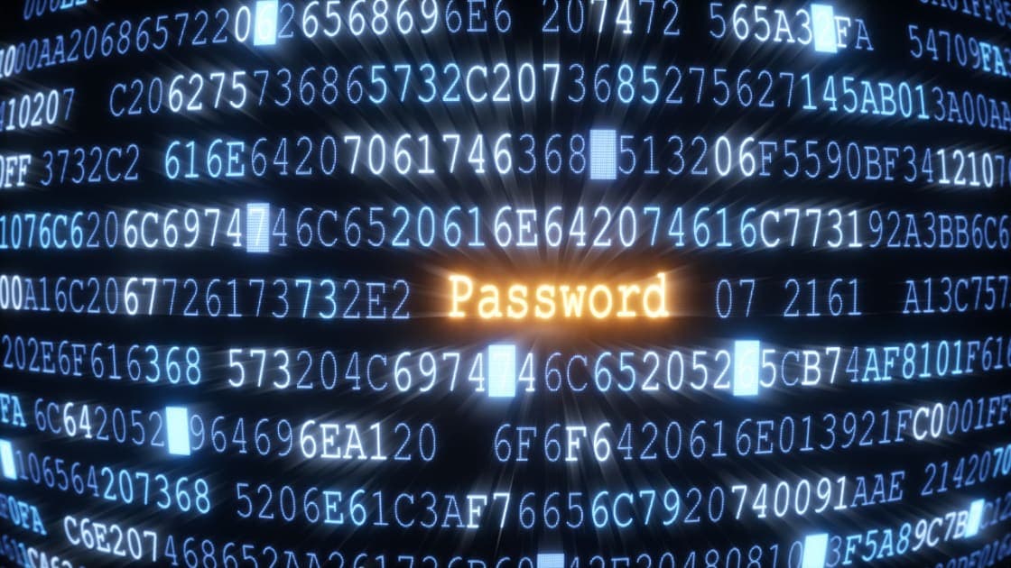 The Death of the Password: How Biometric Web Auth Increases 2026 Conversion Rates - Uncategorized article by N. Haziq